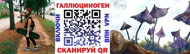 магазин    KRAKEN   Псилоцибиновые грибы прущие грибы  Нижние Серги 
